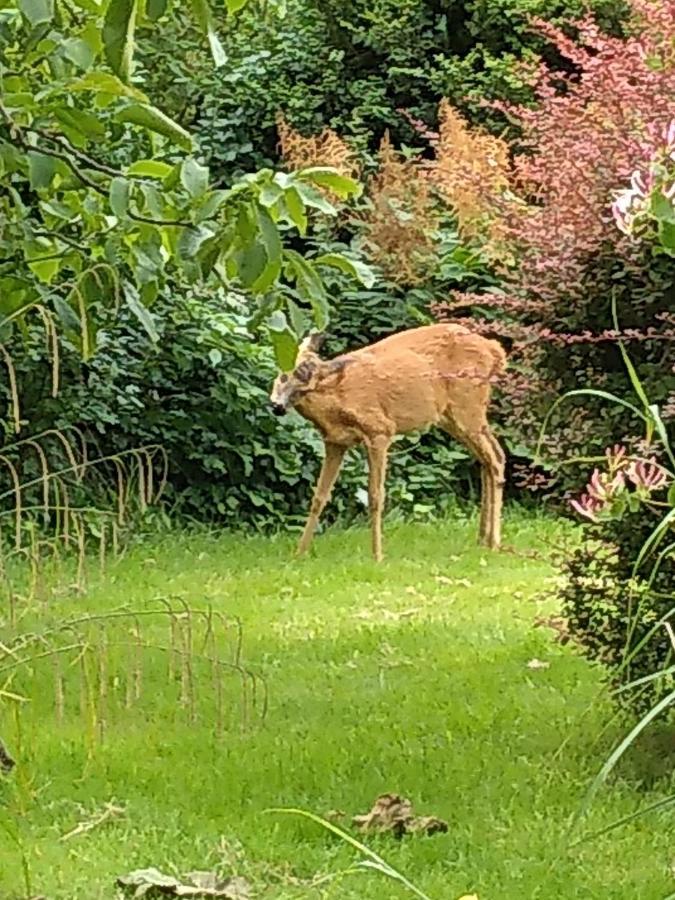 Charmantes Ferienhaus In Nordfriesland Humptrup Esterno foto